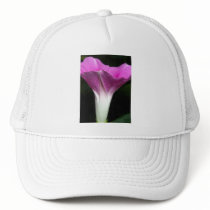 Morning Glory Hat
