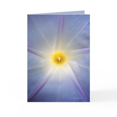 Morning Glory Heart Cards by MoiraAshleigh