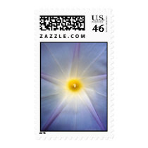 Morning Glory Heart Stamp