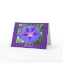 Morning Glory Hello! Card by KYvonne Morning Glory Hello! Card