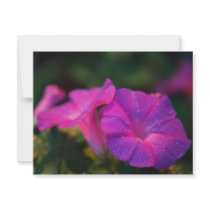 Morning glory invitations by gavila_pt Morning glory invitations