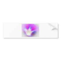 Morning Glory Kiss Bumper Sticker