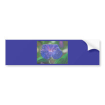 Morning Glory (Landscape) Bumper Stickers