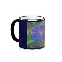 Morning Glory (Landscape) Coffee Mugs