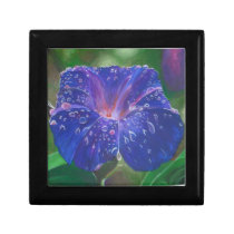 Morning Glory (Landscape) Keepsake Box