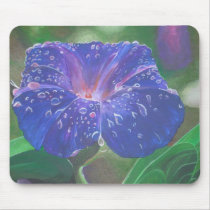Morning Glory (Landscape) Mouse Pads