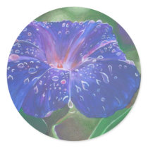 Morning Glory (Landscape) Sticker