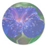 Morning Glory (Landscape) Sticker