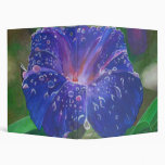 Morning Glory (Landscape) Vinyl Binder