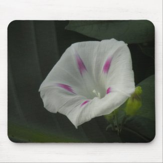 Morning Glory Mouse Pad mousepad