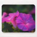 Morning Glory Mousepad by gavila_pt Morning Glory Mousepad