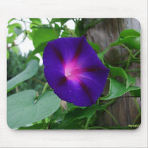 Morning_Glory mousepads