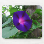 Morning_Glory Mouse Mats