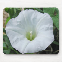 Morning Glory Mousepad mousepads