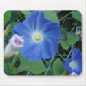 Morning Glory Mousepad by alyciakeating Morning Glory Mousepad