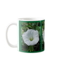Morning Glory mugs