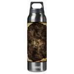 Morning Glory Old Time Sketch 2 SIGG Thermo 0.5L Insulated Bottle