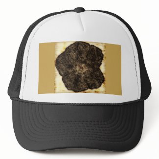 Morning Glory Old Time Sketch zazzle_hat