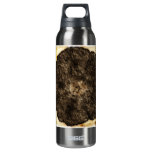 Morning Glory Old Time Sketch SIGG Thermo 0.5L Insulated Bottle