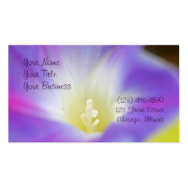 Morning Glory Photo Business Card business cards