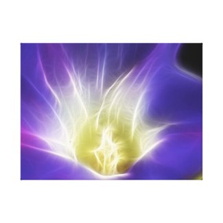 Morning Glory Photo Fractal