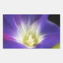 Morning Glory Photo Fractal stickers