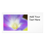 Morning Glory Photo Customized Photo Card