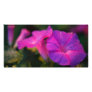 Morning glory photo cards