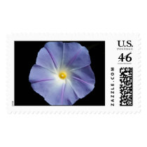 Morning Glory postage by lilli1627 Morning Glory postage