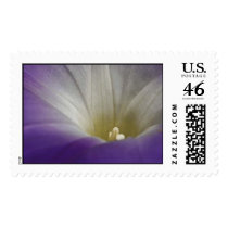 Morning Glory postage by designcreatology Morning Glory postage