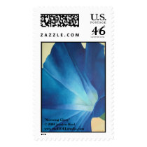 Morning Glory Postage Stamps