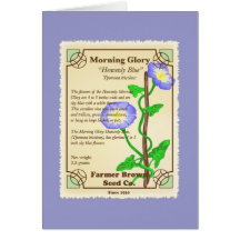 Morning Glory Seed Packet Greeting Cards