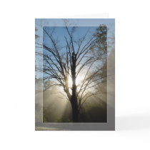 "Morning Glory" Solstice Card