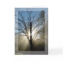 "Morning Glory" Solstice Card