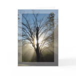 "Morning Glory" Solstice Card