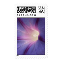 Morning Glory Stamps