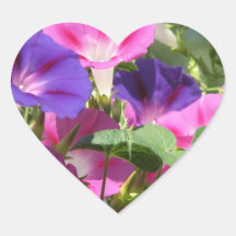 Morning Glory Vines Stickers