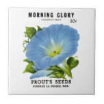 Morning Glory Vintage Seed Packet Tiles