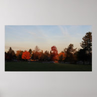 Morning in a Park,BC,Canada Poster