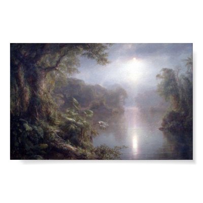 Morning in the Tropics Posters by cooldudeproducts