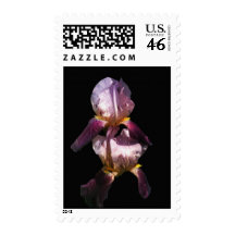 Morning Iris Stamp