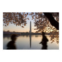 Morning Jog posters by captainifr Morning Jog posters
