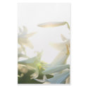 Morning Joy Stationary stationery