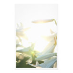 Morning Joy Stationary Stationery Design
