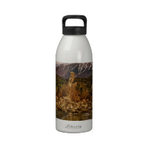 MORNING LIGHT AT MONO LAKE, CA DRINKING BOTTLES