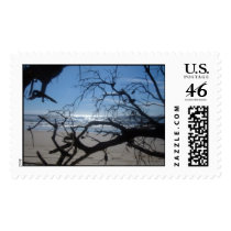 Morning Light postage