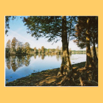 Morning Light postcards