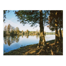 Morning Light Postcards