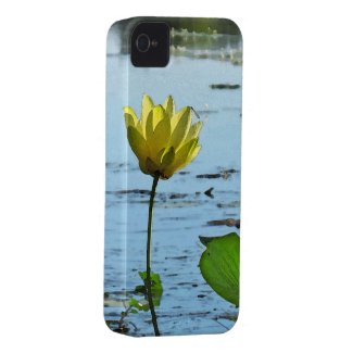 Morning Lotus Flower iPhone4 Case Mate