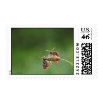 Morning Love postage by Rainmountain Morning Love postage